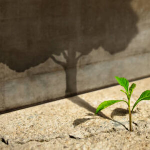 Високи стандарти (7 видео лекции)